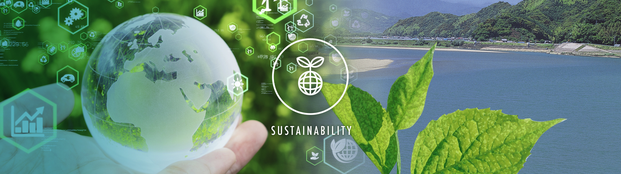 Sustainability